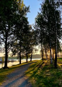 "Morgenstund har gull i munn"