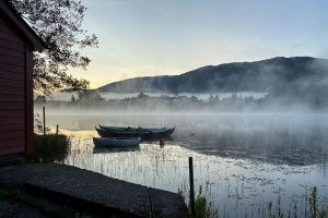 Foggy morning Foggy morning