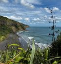 Muriwai Beach