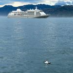 Little Blue Penguin (Eudyptula minor) Little Blue Penguin (Eudyptula minor)