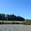 A stop at Ōreti River on Route 94 Ōreti River