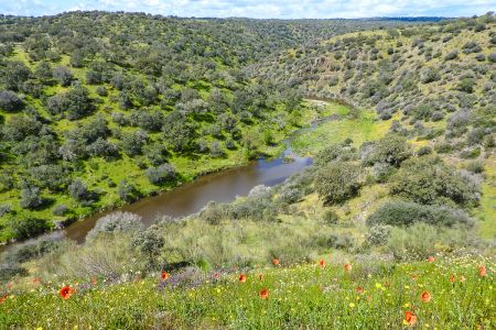 View over the River Almonte