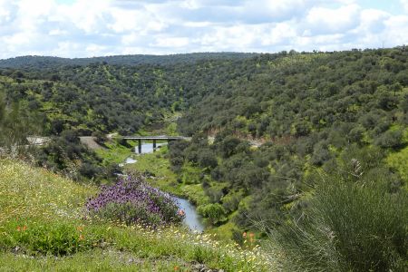 View over the River Almonte