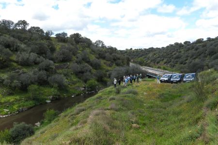 Birding by the River Almonte
