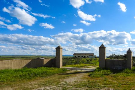 The back gate to our lodge