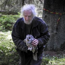 Perti checking the Ural owl