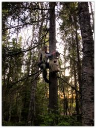 Checking another nest